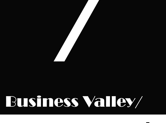 Business Valley